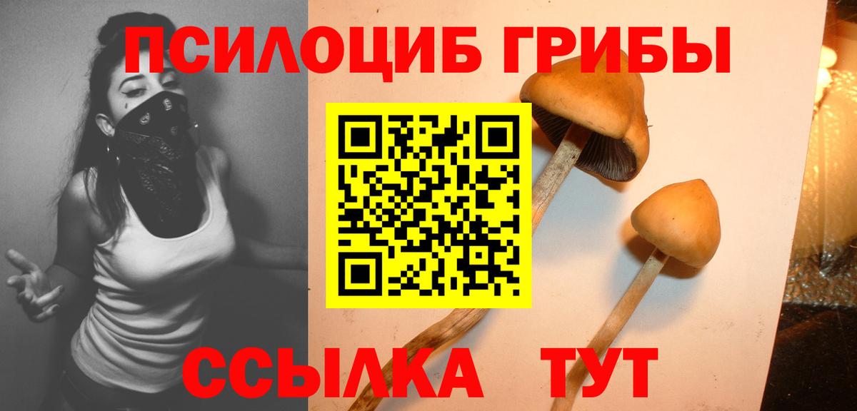 Псилоцибиновые грибы мицелий Ростов-на-Дону
